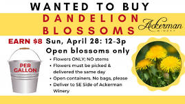 DANDELION COLLECTION AT ACKERMAN WINERY