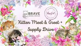 Brave Animal Rescue Meet & Greet + Supply Drive with Rose Cat Coffee Co