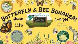 Butterfly & Bee Bonanza!