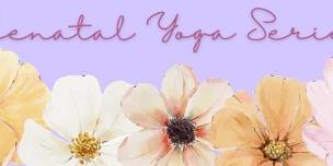 Prenatal Yoga Series