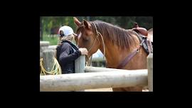 Cowgirl Day Camp - Lifeskills and Leadership