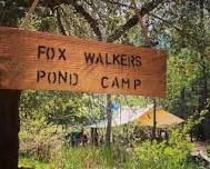 Fox Walkers Day Camp #1 — 4 Elements Earth Education