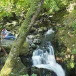 Great Big Green Week: Litter Picks along Ullswater Shore with NT team