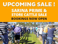 Sarina Prime & Store Sale