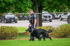 Milford PD K-9 Demonstration