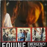 Equine Health and Emergency First Aid