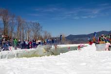 Sugarloaf Pond Skim