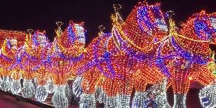 Pocatello Christmas Night Lights Parade