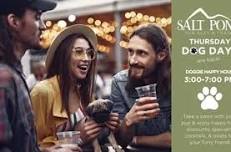 Dog Days Thursdays at Salt Pond Pub