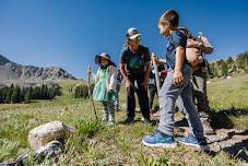 Guided Wildflower Hike