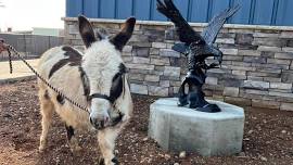 Paradise Gold Nugget Days: Biscuits & Gravy with the Paradise Eagles