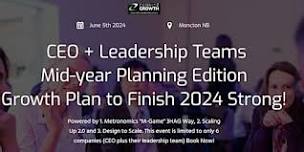 CEO + Leadership Teams Mid-Year Planning Edition: Business Growth Plan to finish 2024 Strong!