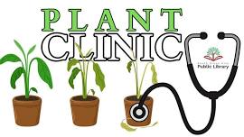 Plant Clinic