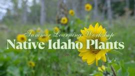 Summer Learning Workshop: Native Idaho Plants