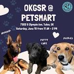 Come meet our dogs!!