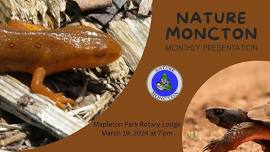 Nature Moncton March Monthly Presentation