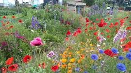 The People’s Community Garden