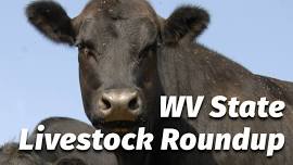 West Virginia State Livestock Roundup