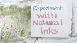 Art in the Wild: Experimenting with Natural Tools & Inks  — Wild Bear Nature Center - We Are Nature