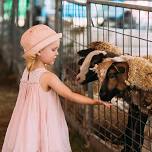 Custer County Fair