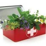 Making Your Own Herbal First Aid Kit