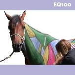 EQ100: Equinology Equine Body Worker Certification Course