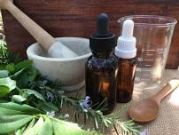 Herbal Tinctures 1 Day Apothecary Workshop