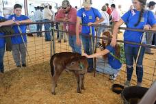 Sunbelt Ag Expo