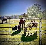 Emery County Fair