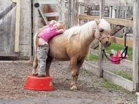 Summer Ranch Adventure Camp '24 - Pony Wranglers