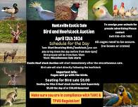 Aprils Bird and Hoofstock Auction