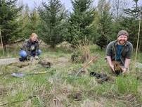 Skagit Fisheries Enhancement Group Planting Party!