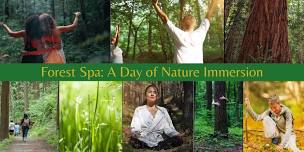 Forest Spa: A Day of Nature Immersion