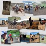 'Pathway to Partnership Horsemanship Camp Waikato.