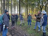 Glorious Cotswold Grasslands for the Cotswolds National Landscape with Anna Field.