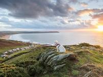 Sunset Photography walk, with Mark Johnson - Woolacombe Down