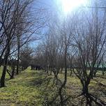 Annual New Zealand Truffle Conference