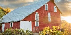 Music in the Vines with Jim Mantey