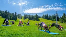 Yoga on the Mountain — FREE