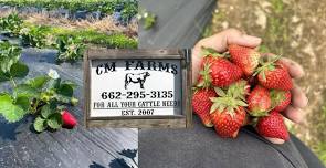 Strawberry Picking at CM Farms