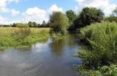 Morning bird-spotting walk from Wheathampstead