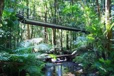 Daintree River Wildlife Cruise - Early Morning