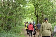 Forage and Cook - Leicestershire