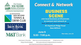 June Chamber Business Scene (informal business networking)