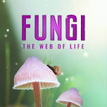 Fungi: The Web of Life