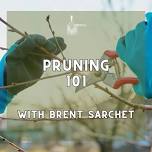 Pruning Strategies and Maintenance