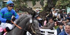 California Distaff Handicap Day