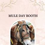 Thursday Mule Day 431 Ministries Booth — 431 Ministries