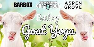 Baby Goat Yoga - June 16th  (ASPEN GROVE)