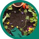 Parent and Child Activity Flower Planting